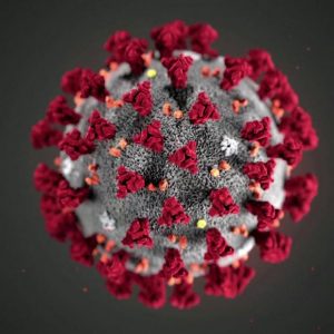 World Coronavirus Update